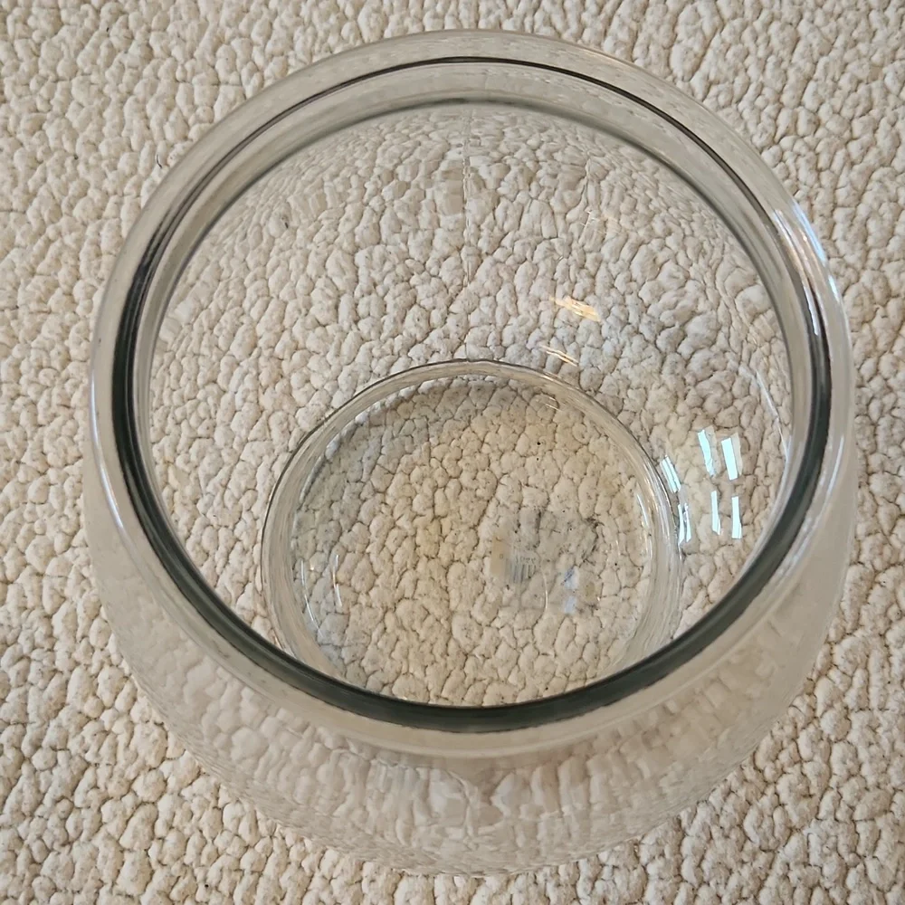 Vibrant Life Footed Glass Fish Bowl